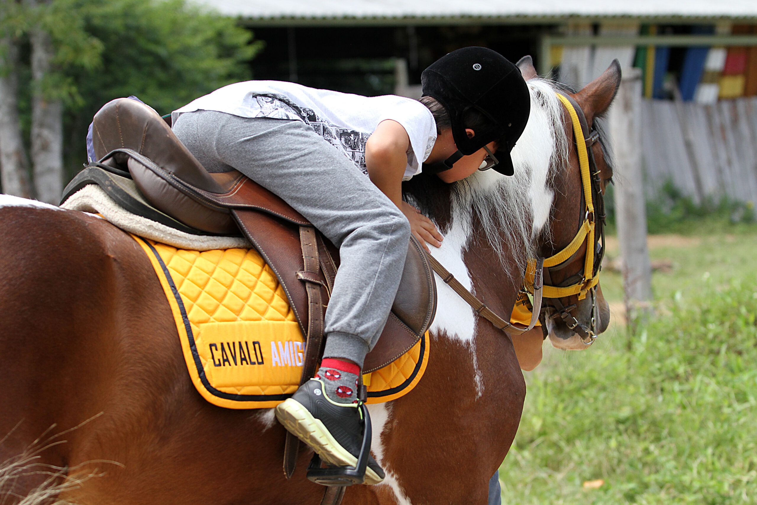 Instituto Cavalo Amigo